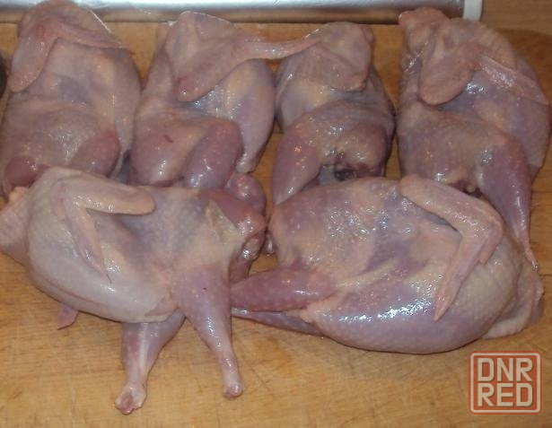 Мясо переперелов Мариуполь - изображение 1