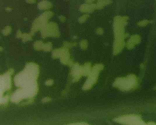 Ашо кротэ татуху с номером Донецк