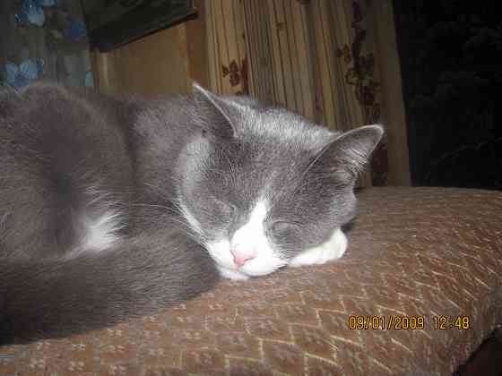 Смело скажем цветы строители Донецк