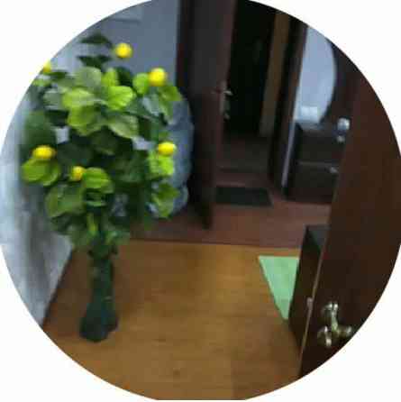 Продам двухкомнатную крупногабаритную квартиру в Киевском районе. Донецк