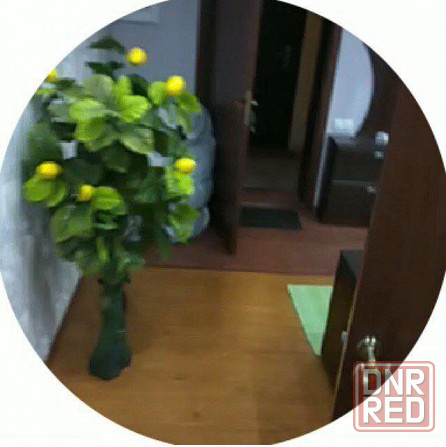 Продам двухкомнатную крупногабаритную квартиру в Киевском районе. Донецк - изображение 3