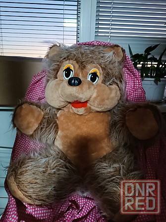 Большой медведь Донецк - изображение 2