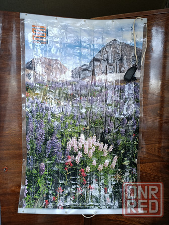 Обогреватель плёночный электрический, картина Донецк - изображение 1