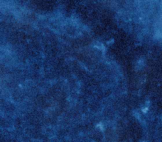 Шо 1 в мире побыл деревом Донецк