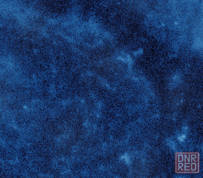 Шо 1 в мире побыл деревом Донецк - изображение 1