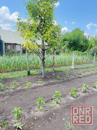 Продам дом пос. Карла Маркса г. Макеевки Макеевка - изображение 4