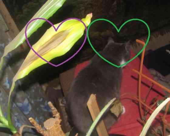 Гпнд далеко не "Феншуй" "Инв" Донецк