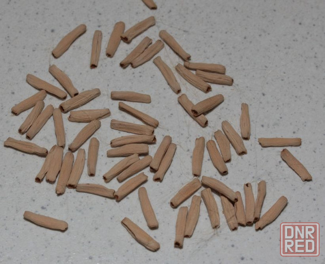 Продам семена адениумов Донецк - изображение 5