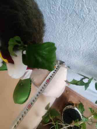 Кровать детская раскладная Донецк