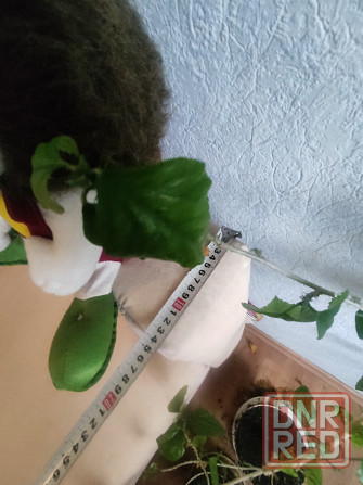 Кровать детская раскладная Донецк - изображение 5