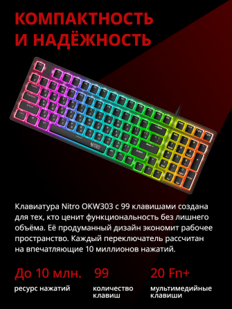 Клавиатура Acer Nitro Okw303, русские и английские буквы (Zl. Kbdcc.01d) (арт-4337) Макеевка