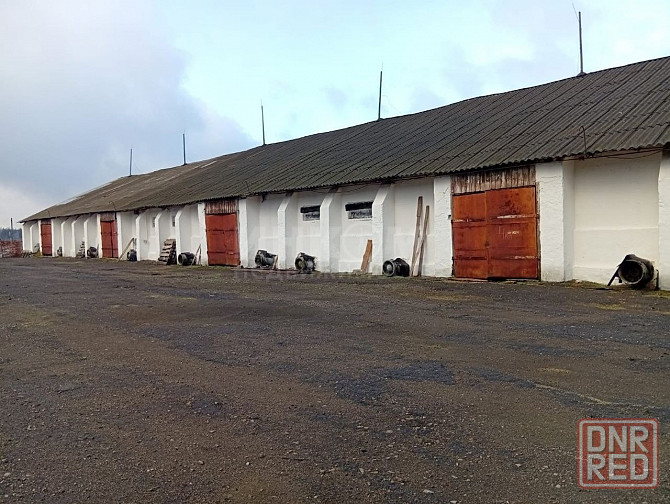 Элеваторный Комплекс Луганск - изображение 3