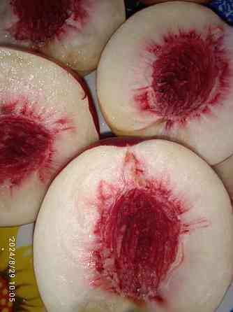 Черенки плодовых (персик, яблони, груша) Донецк