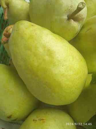 Черенки плодовых (персик, яблони, груша) Донецк