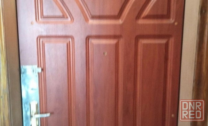 Черемушки Даки однокомнатная квартира 4/9 Макеевка - изображение 1