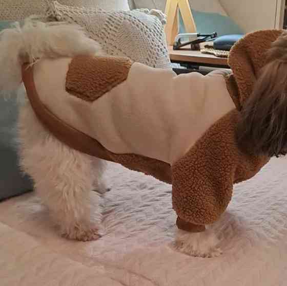 Пайта с капюшоном для собак Макеевка