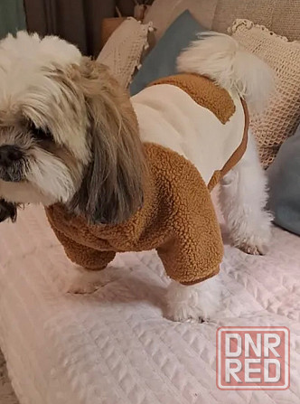 Пайта с капюшоном для собак Макеевка - изображение 1