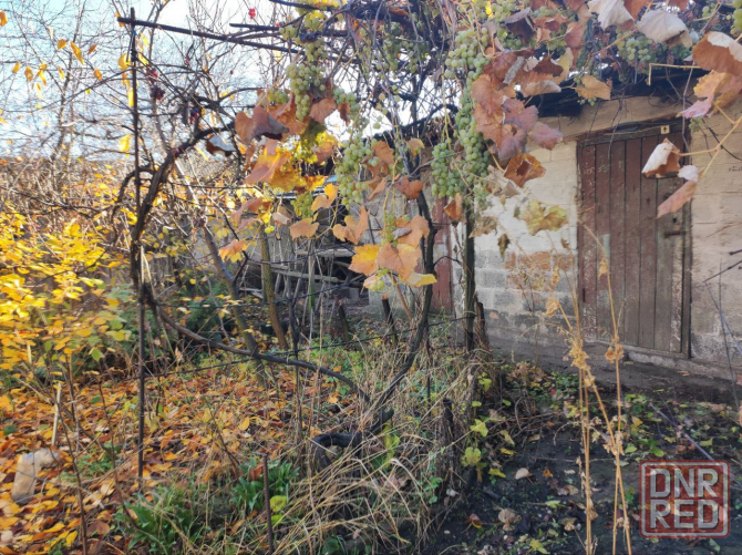 Абакумова Донецк - изображение 1