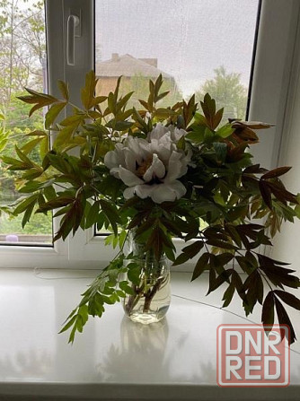 Трехкомнатная квартира в Буденновском районе 74 м2 Донецк - изображение 7