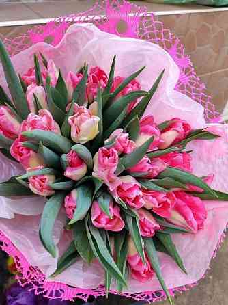 Тюльпаны к 8 марта оптом и мелким оптом Донецк