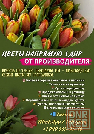 Тюльпаны к 8 марта оптом и мелким оптом Донецк - изображение 1