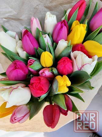 Тюльпаны к 8 марта оптом и мелким оптом Донецк - изображение 7