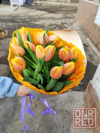 Тюльпаны к 8 марта оптом и мелким оптом Донецк - изображение 6