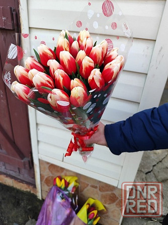 Тюльпаны к 8 марта оптом и мелким оптом Донецк - изображение 3
