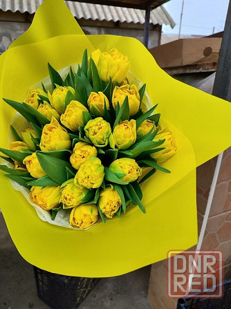 Тюльпаны к 8 марта оптом и мелким оптом Донецк - изображение 2