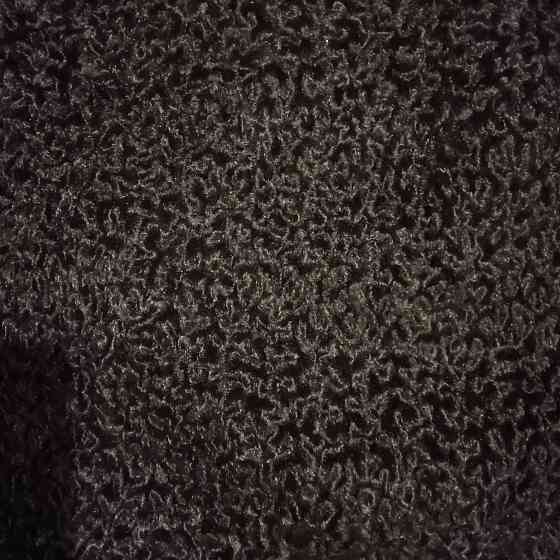 Каракуль барашек Донецк