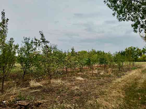 Продажа участка (ижс) с.Марьяновка Донецк