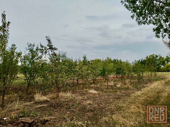 Продажа участка (ижс) с.Марьяновка Донецк - изображение 3