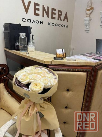 Сдается салон красоты премиум-класса Донецк - изображение 2