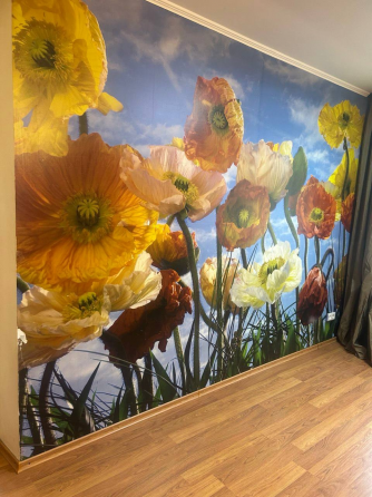 3-х комнатная квартира, Мирный Донецк