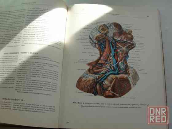 Этой книге 3000 лет 95 bpm Донецк