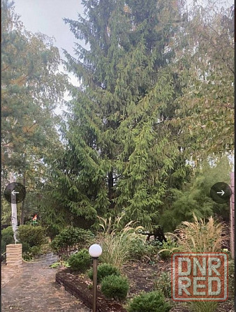 продается дом проспект Мира Донецк - изображение 7