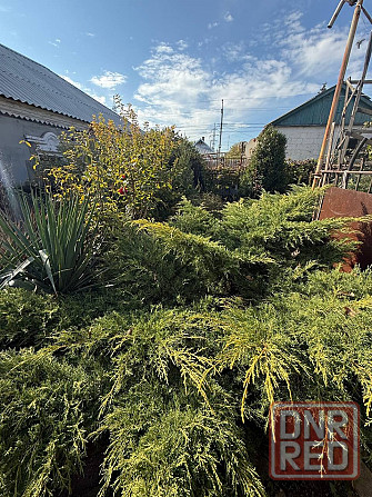 Продается дом в Ильичевском районе Мариуполь - изображение 8