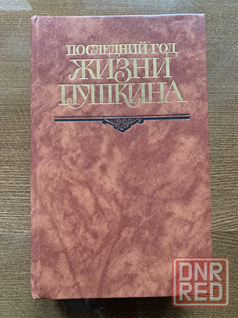 о Пушкине Донецк - изображение 4