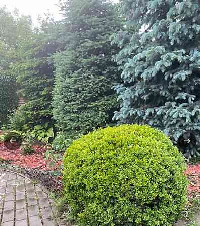 продается дом Ветка Донецк