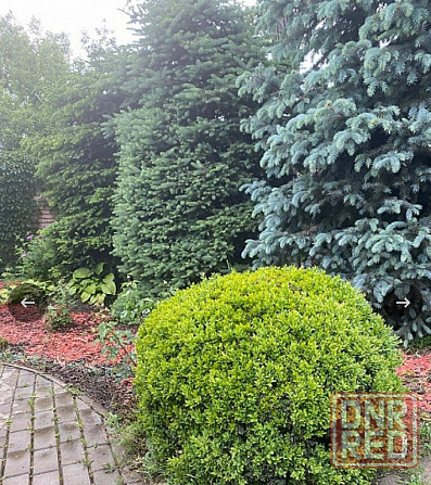 продается дом Ветка Донецк - изображение 4