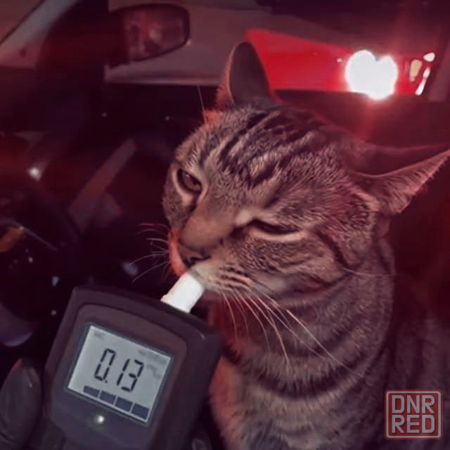 Продается гараж (2 км от трц «донецк-сити» и шахтерской площади) в тихом тупике агк «светофор» Донецк - изображение 7