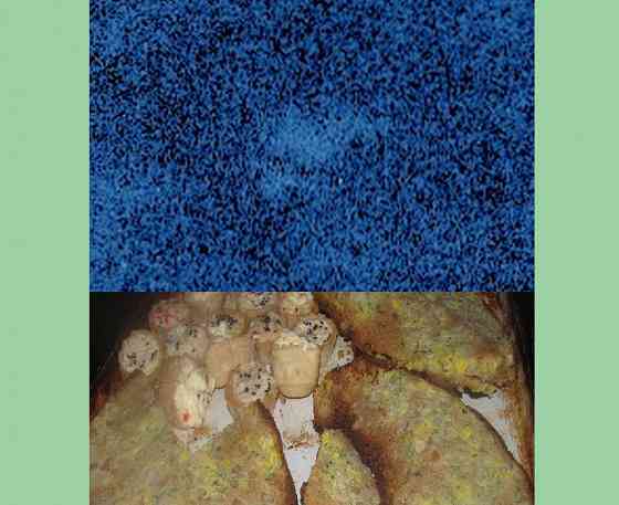 Who can say, нет срока = Сель Донецк