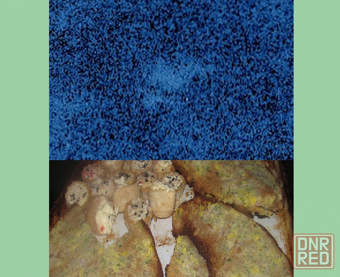 Who can say, нет срока = Сель Донецк - изображение 1