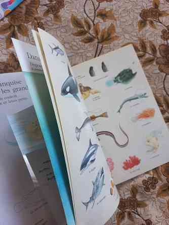 Книги на французском учебники, стихи, песни, ребусы и кроссворды Донецк