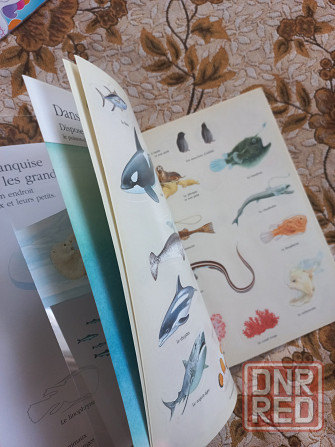 Книги на французском учебники, стихи, песни, ребусы и кроссворды Донецк - изображение 6