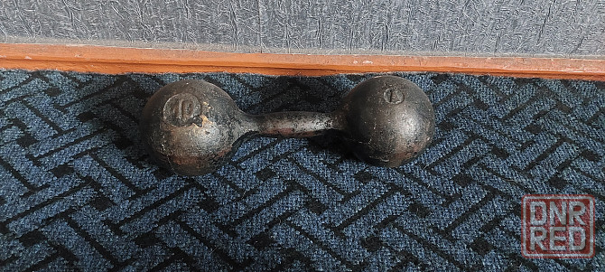 Продам гантелю 10 кг Макеевка - изображение 1