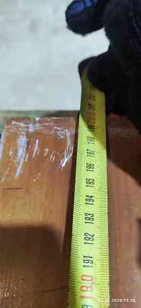 Деревянные двери - межкомнатные и входная Донецк