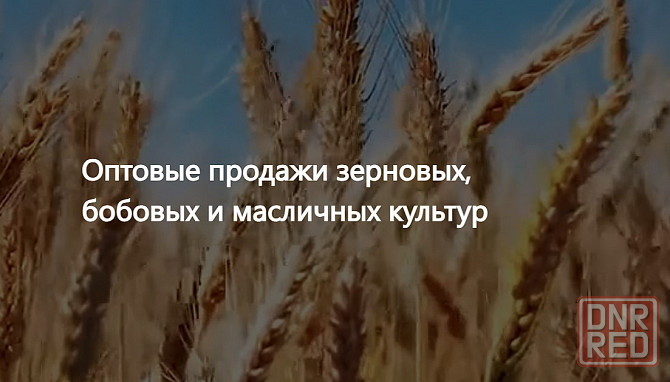 Агропром - оптовая реализация продуктов питания экспорт Луганск - изображение 1