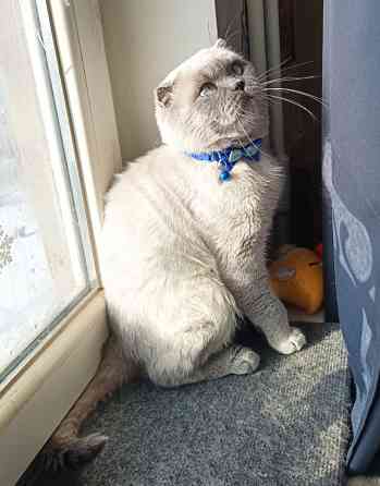 Вязка!!!! Донецк