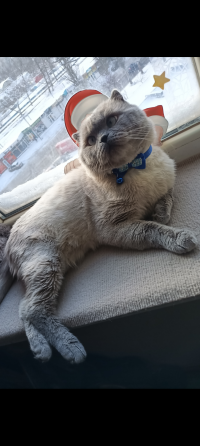 Вязка!!!! Донецк